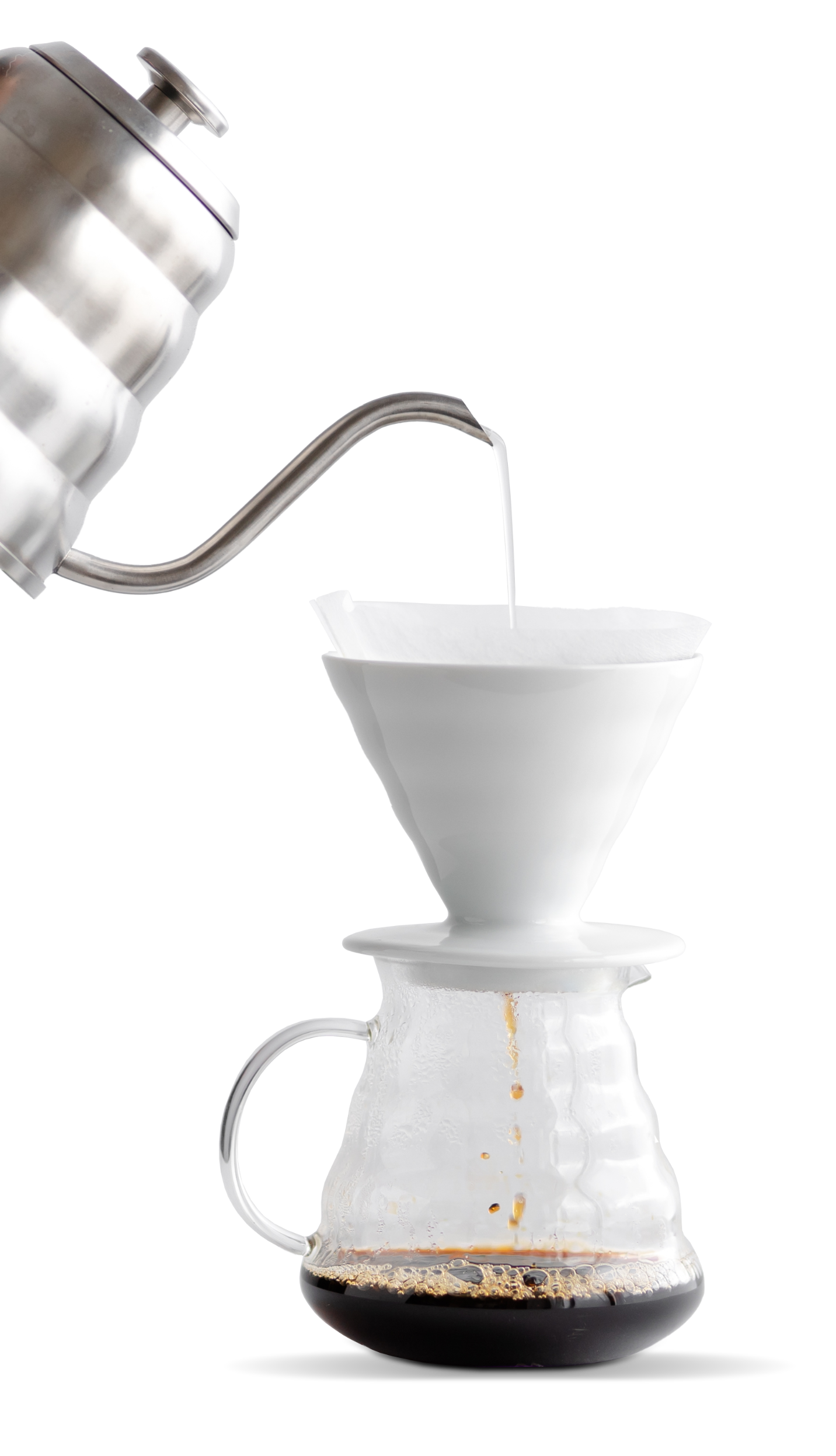 V60 Hausbrandt