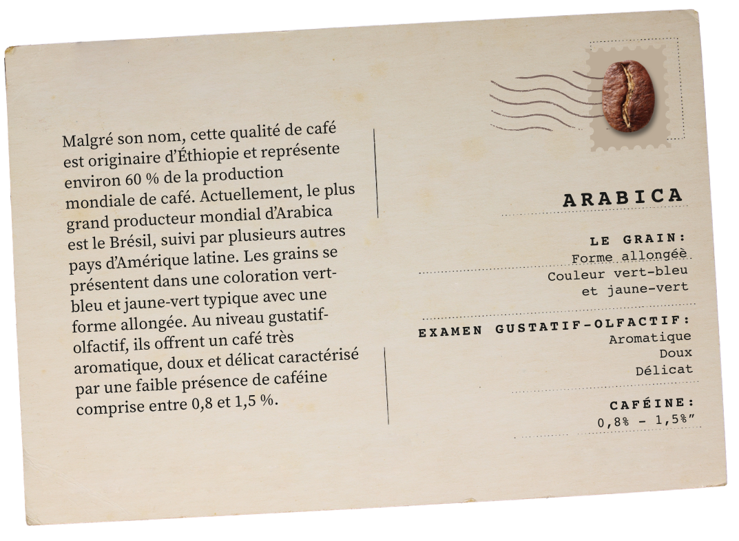 Card Arabica