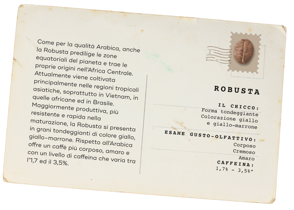 Card Robusta