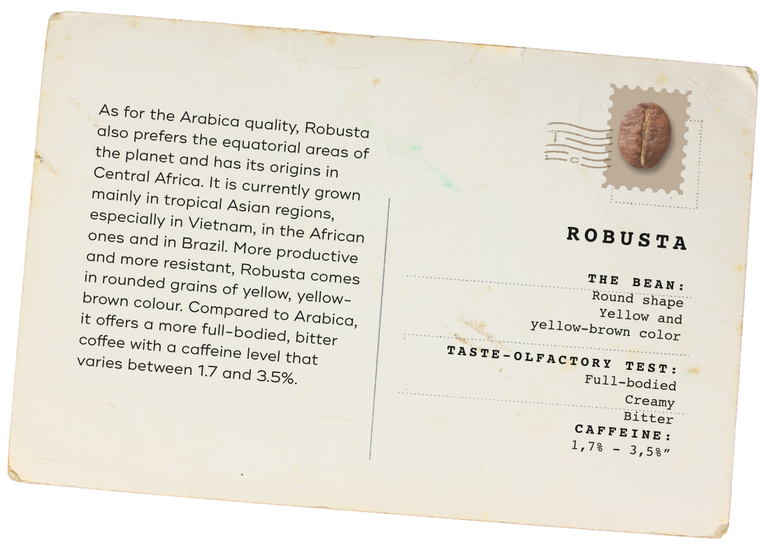 Card Robusta
