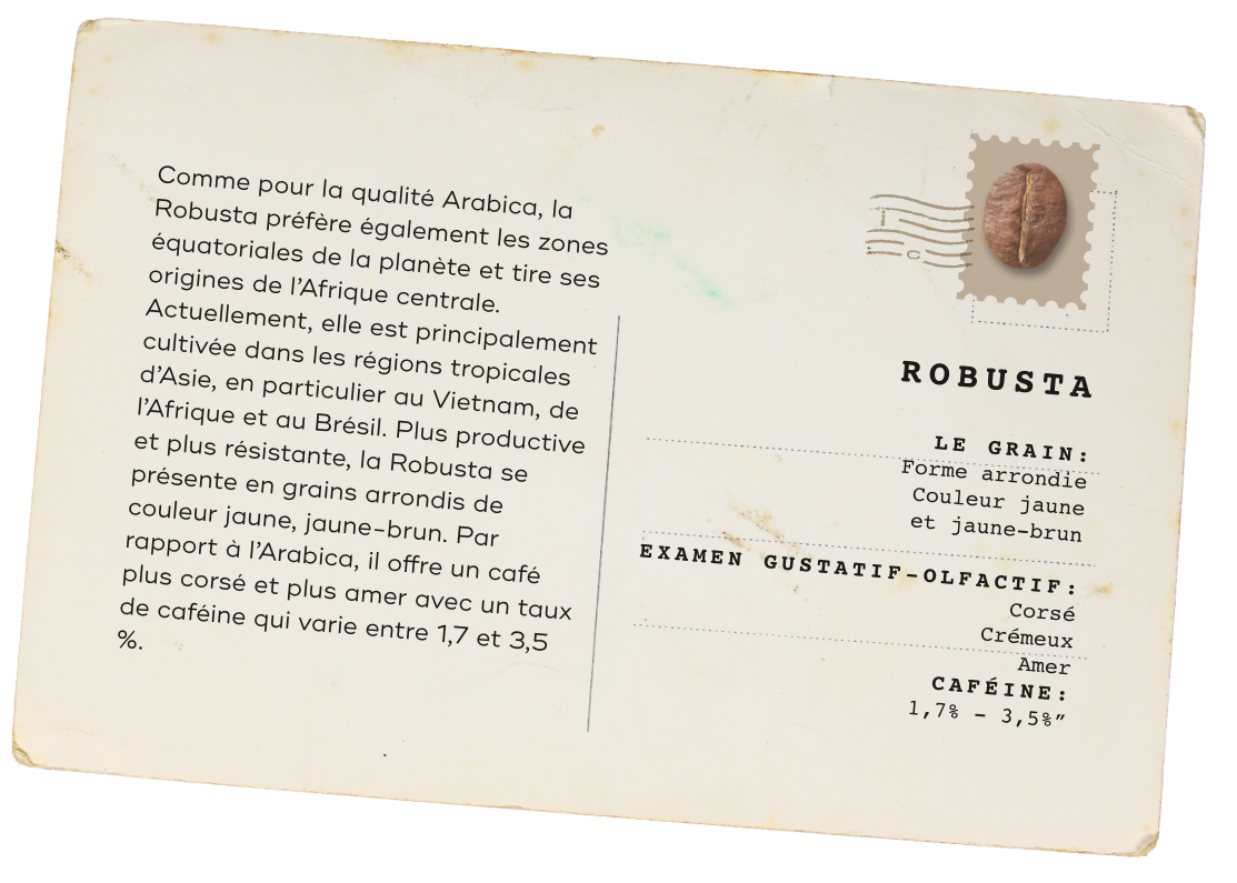 Card Robusta