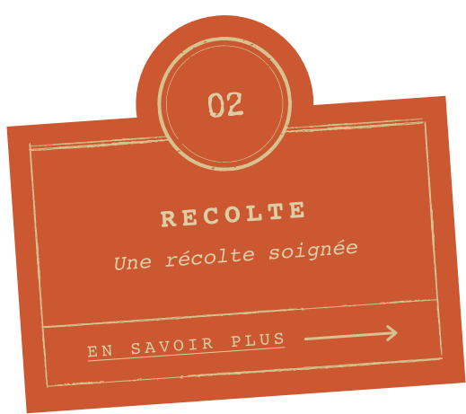 Récolte