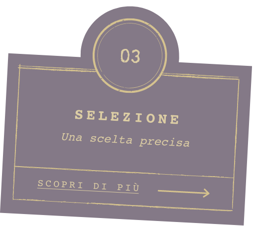 Selezione