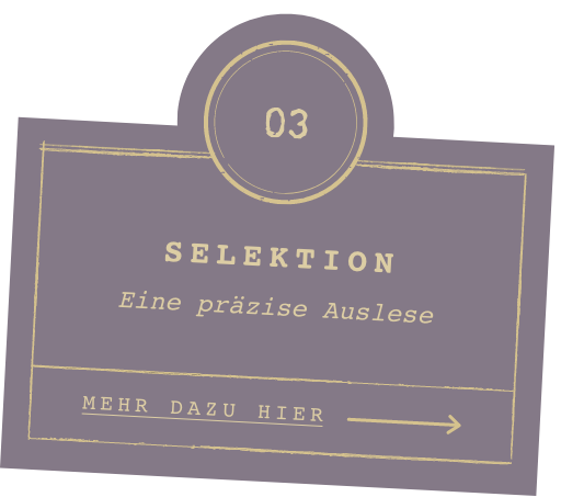 Selektion