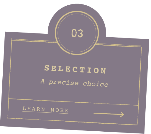 Selection