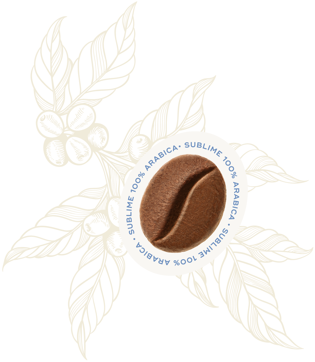 Profilo Sensoriale Chicco