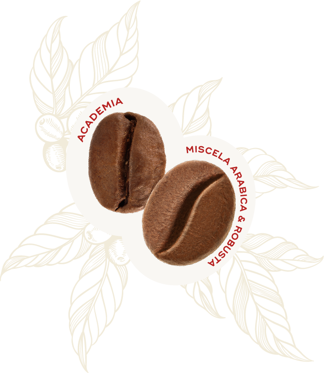Profilo Sensoriale Chicco