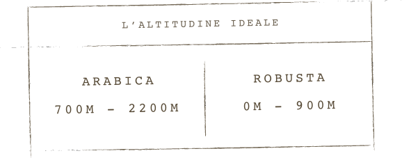 Tabella altitudine caffè