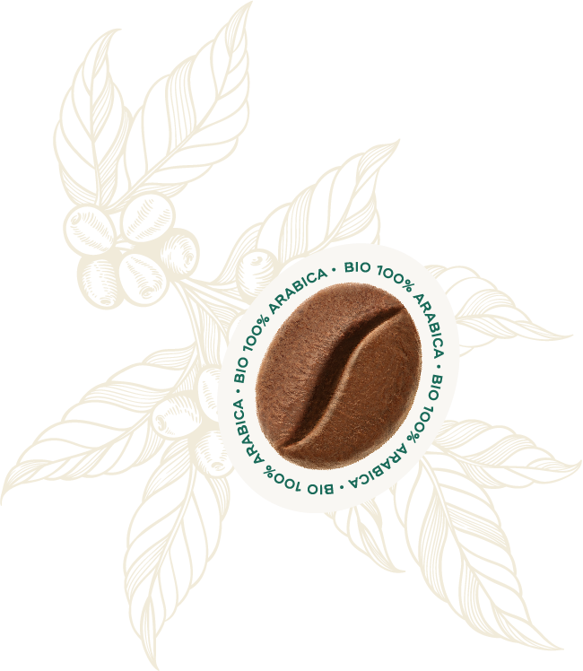 Profilo Sensoriale Chicco