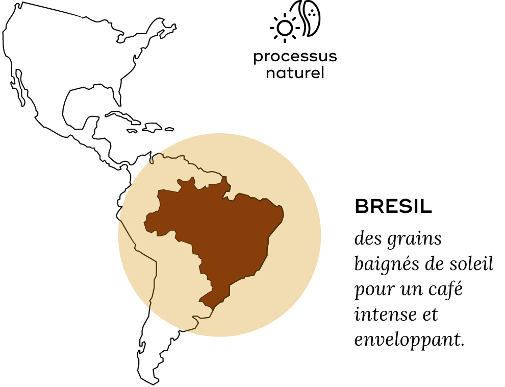 Carte montrant le Brésil surligné en Amérique du Sud.