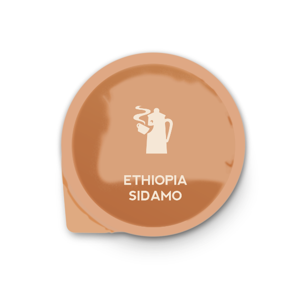ETHIOPIA SIDAMO 100% ARABICA		