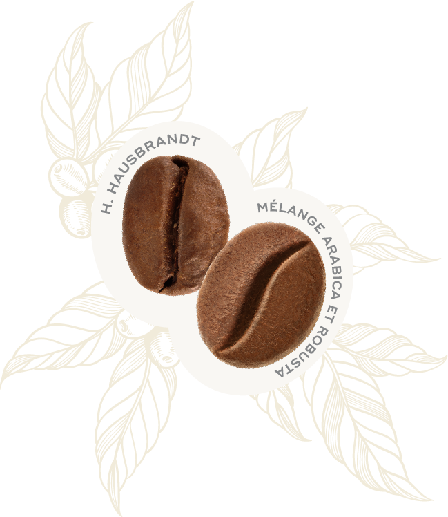 Profilo Sensoriale Chicco