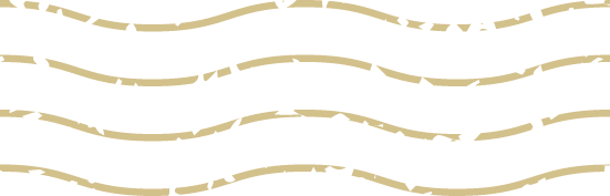 Linee francobollo