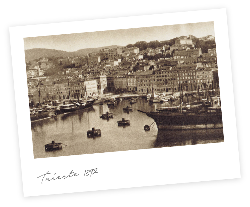 Cartolina Trieste
