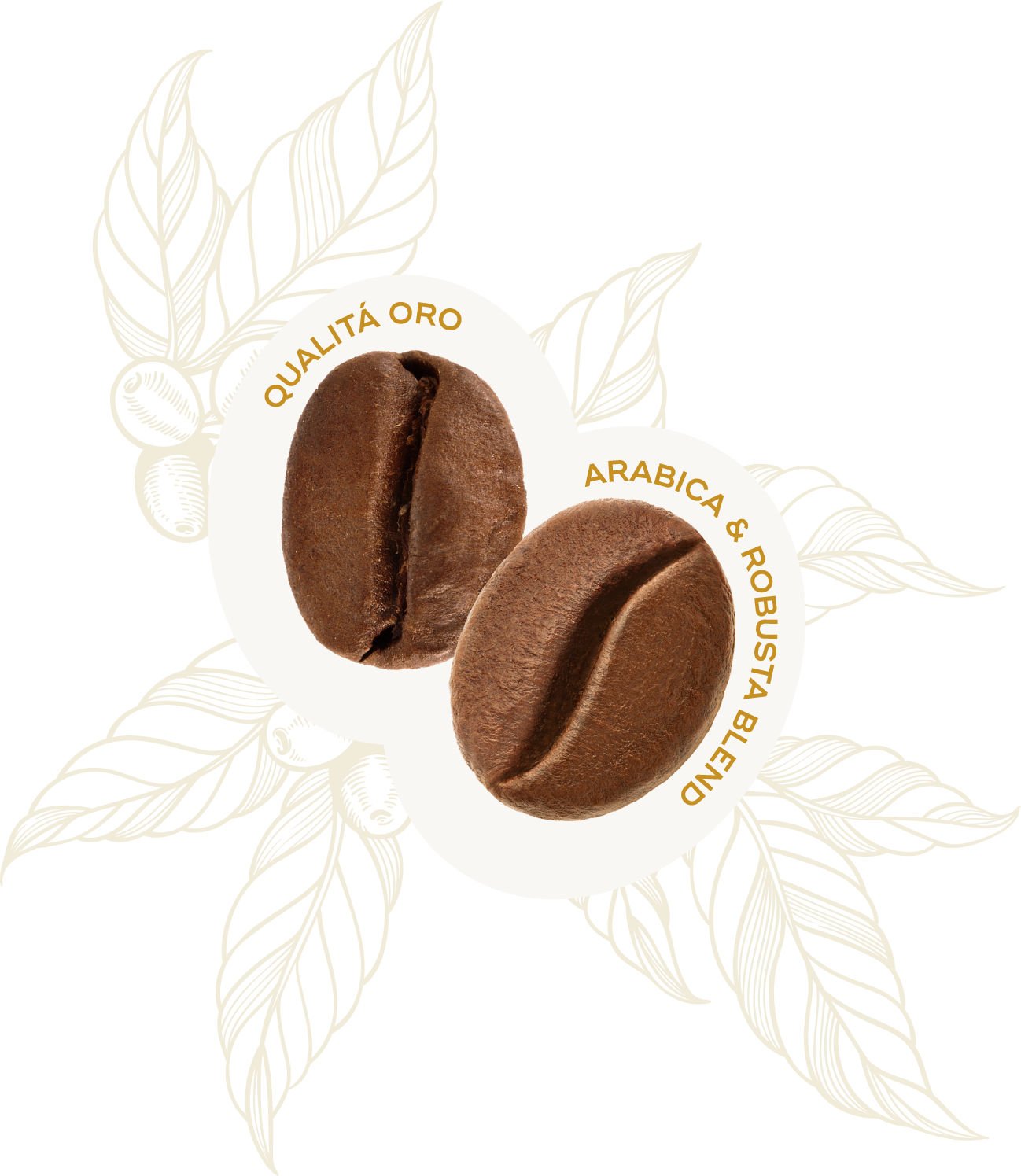 Profilo Sensoriale Chicco