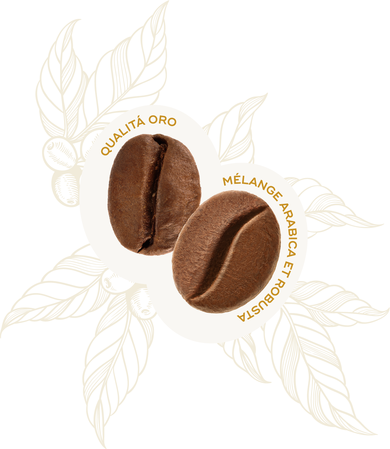 Profilo Sensoriale Chicco