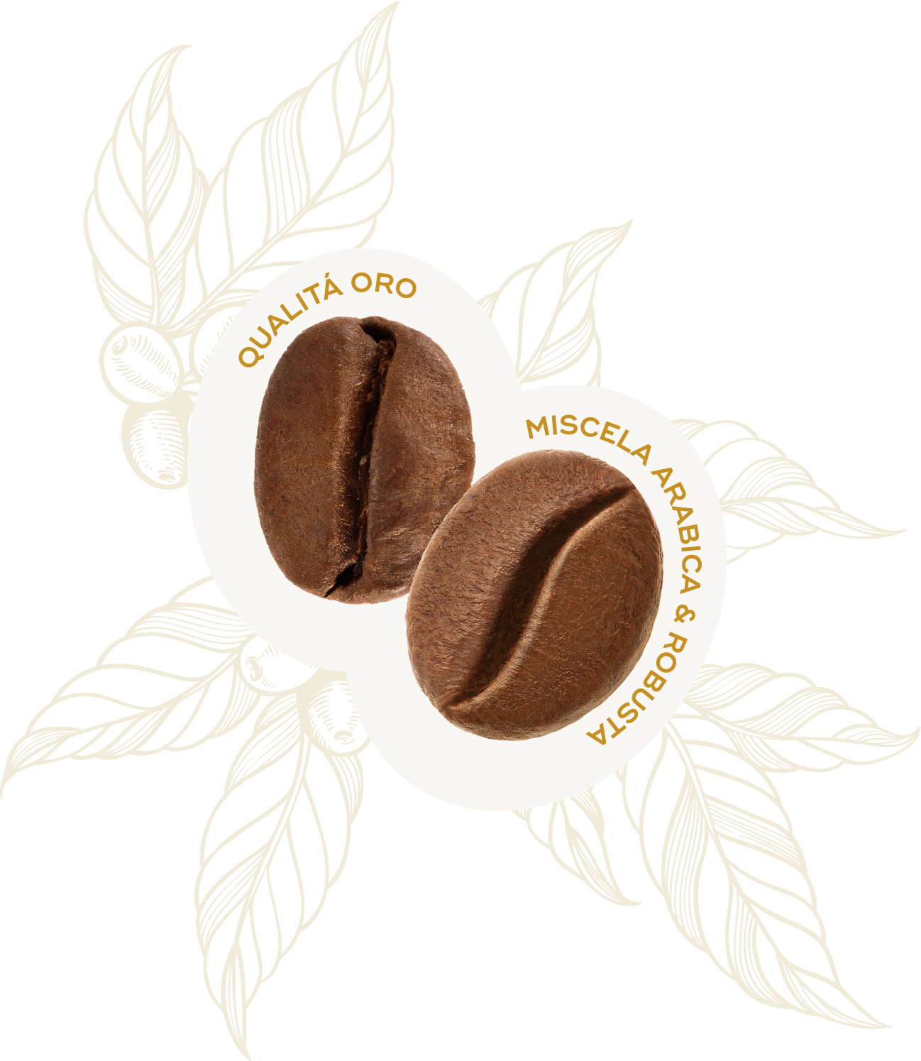Profilo Sensoriale Chicco