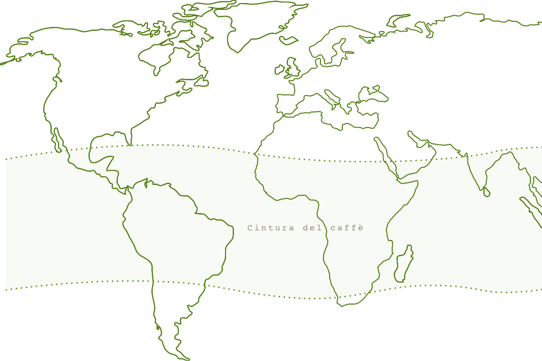 Mappa cintura del caffè