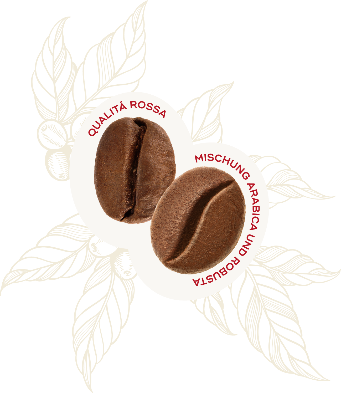 Profilo Sensoriale Chicco