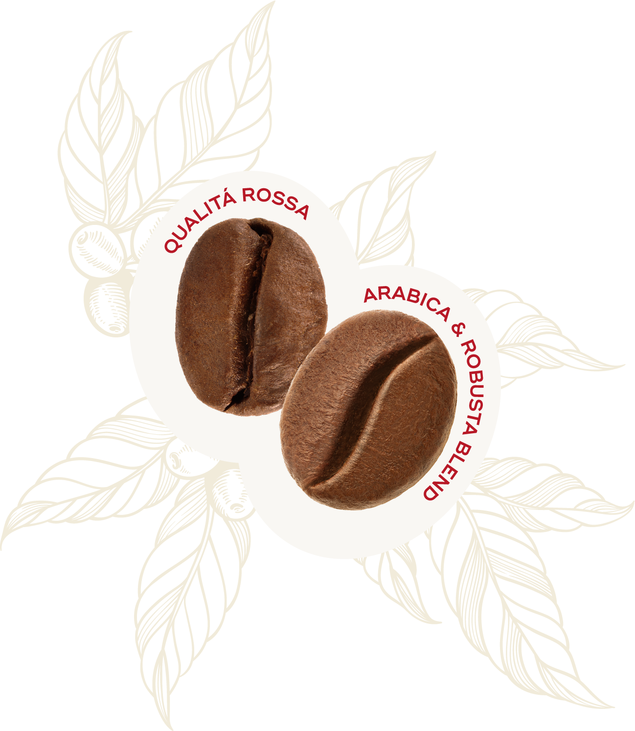Profilo Sensoriale Chicco