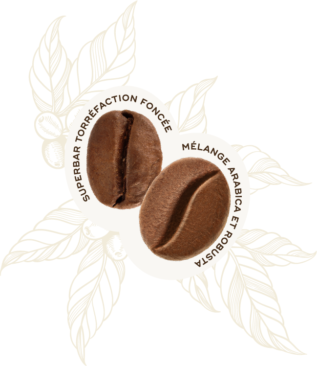 Profilo Sensoriale Chicco