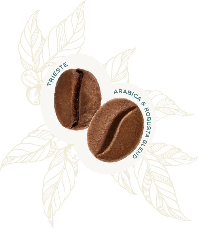 Profilo Sensoriale Chicco